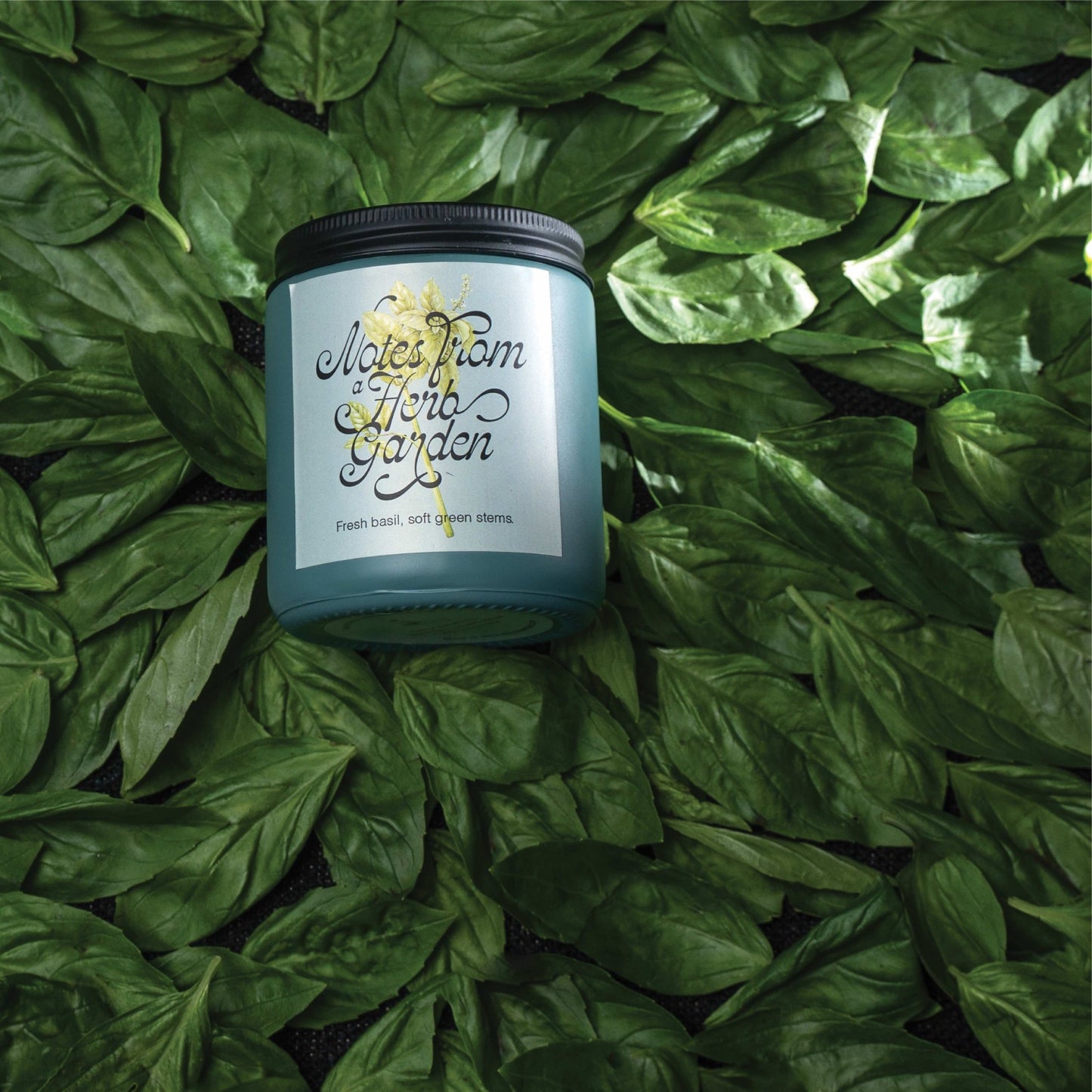 Notes from a Herb Garden - Eraya Aesthetic