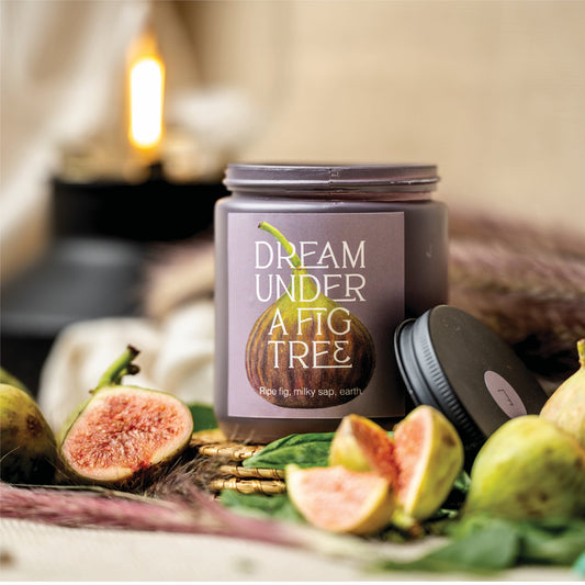 Dream under a fig tree - Eraya Aesthetic