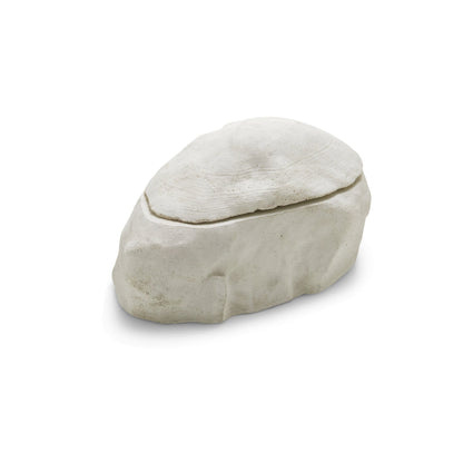 Rock - Eraya Aesthetic